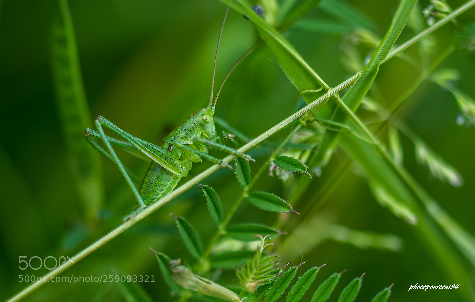 Nikon D7100 sample photo. 1.jpg photography