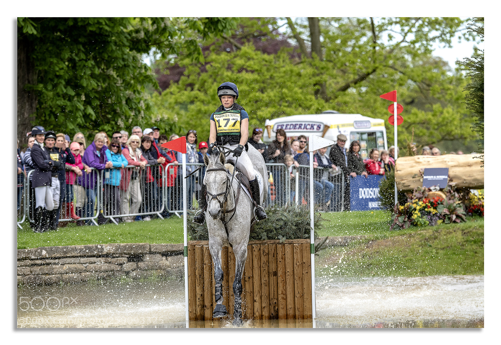 Nikon D850 sample photo. Chatsworth horse trails 2018 photography