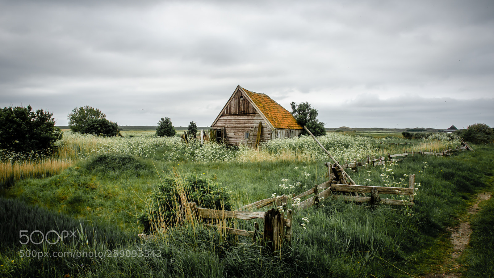 Nikon D7000 sample photo. Old farm typical for photography