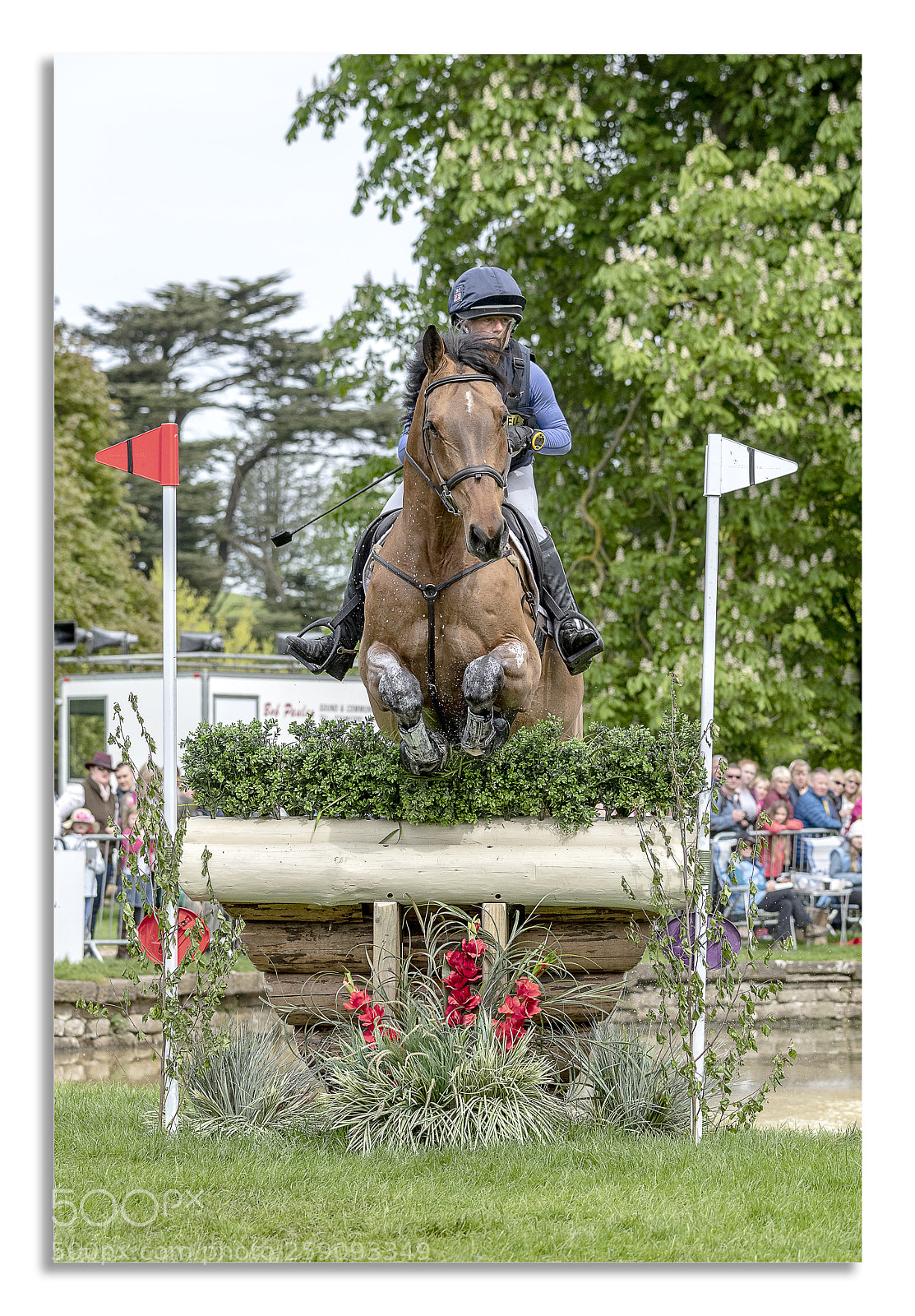 Nikon D850 sample photo. Chatsworth horse trails 2018 photography