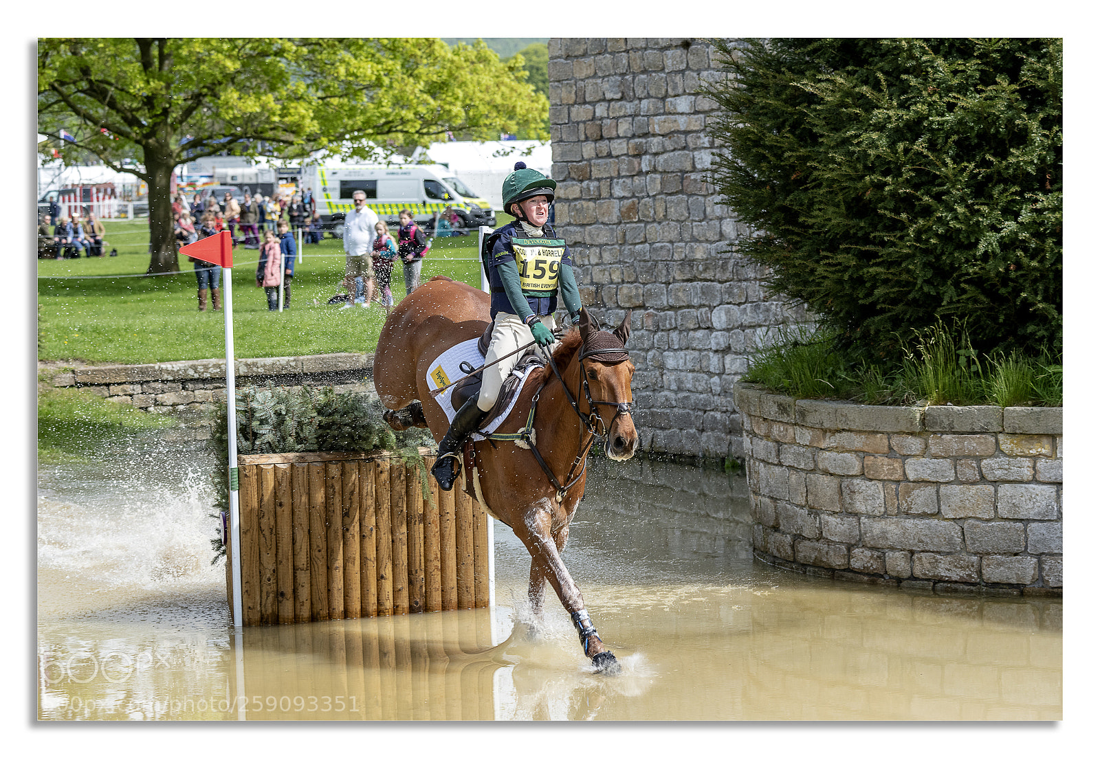 Nikon D850 sample photo. Chatsworth horse trails 2018 photography