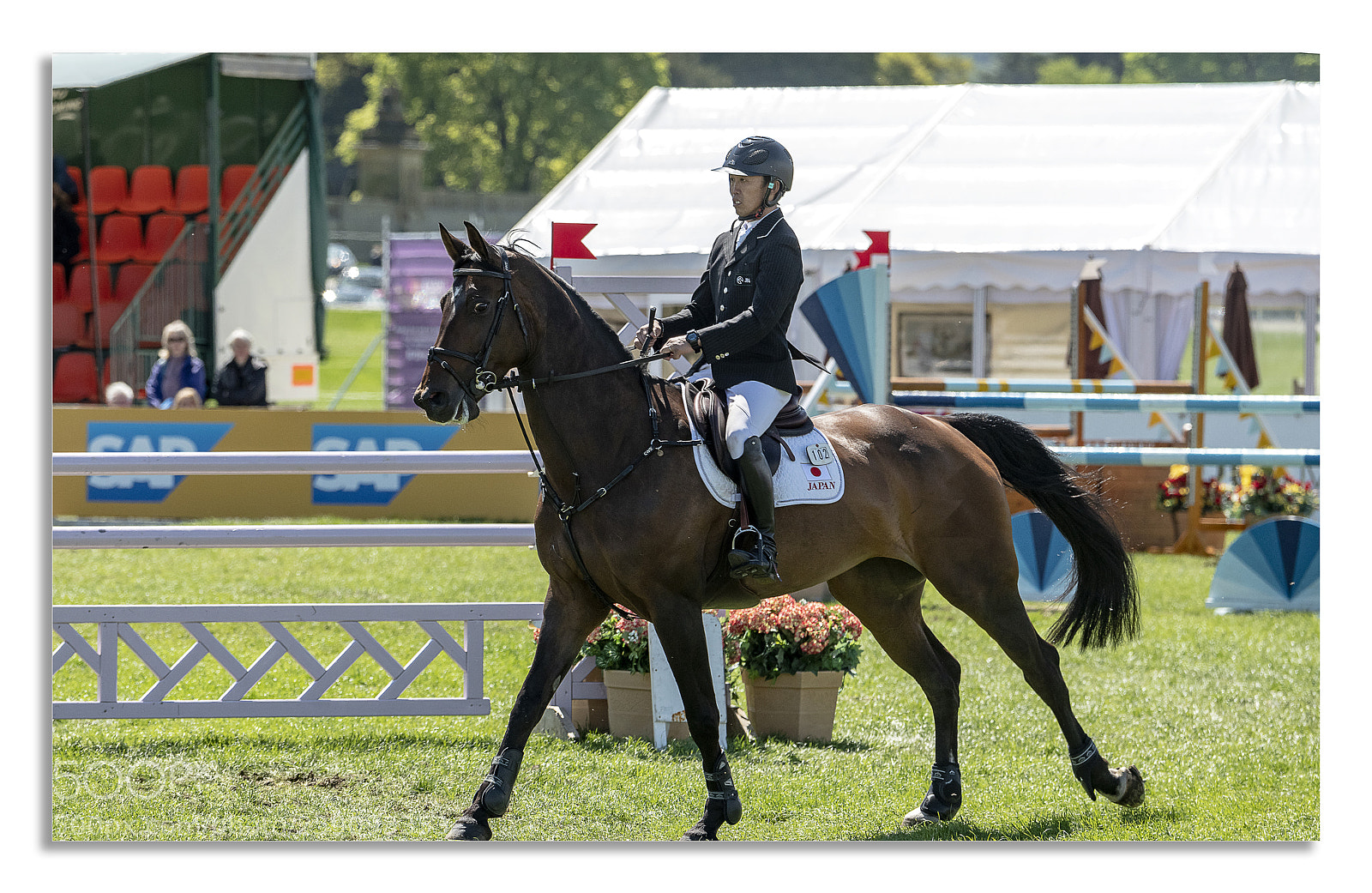 Nikon D850 sample photo. Chatsworth horse trails 2018 photography