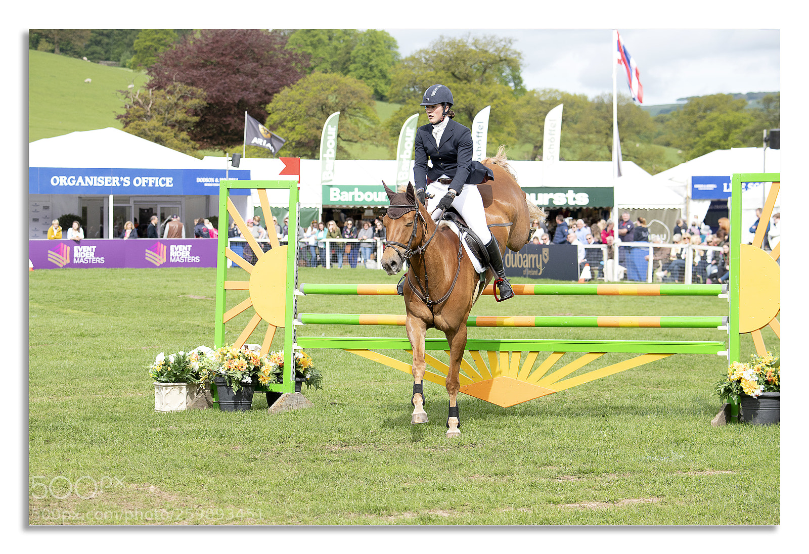 Nikon D850 sample photo. Chatsworth horse trails 2018 photography