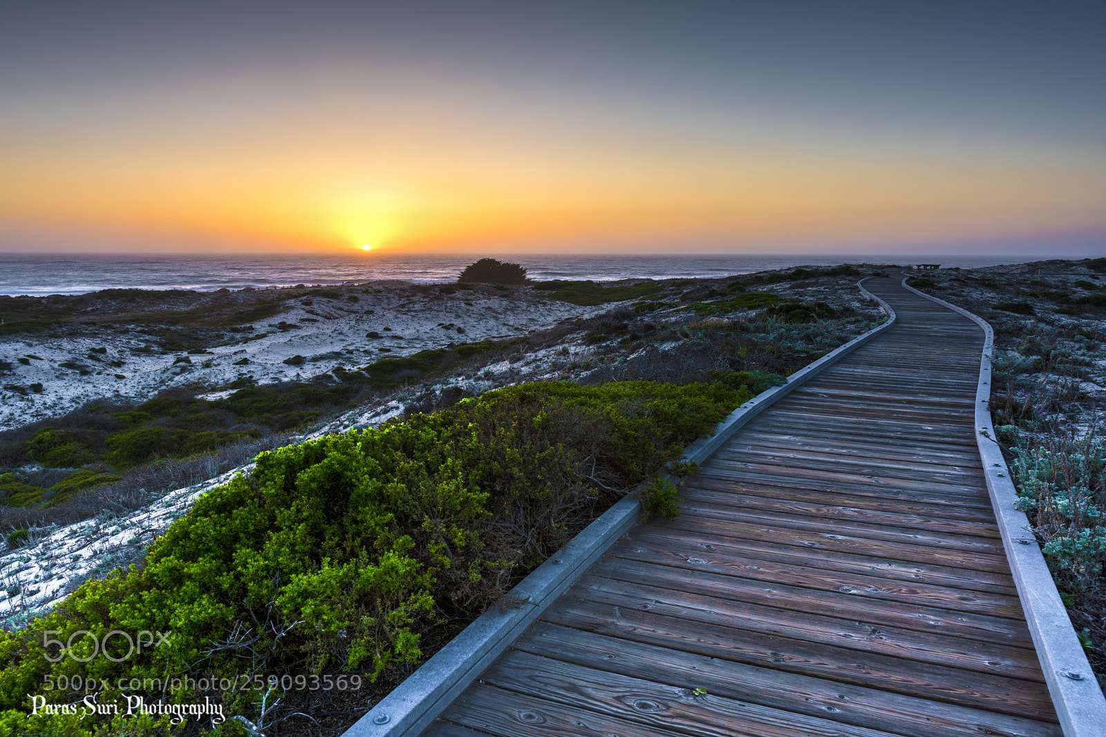 Sony a99 II sample photo. Serenity photography