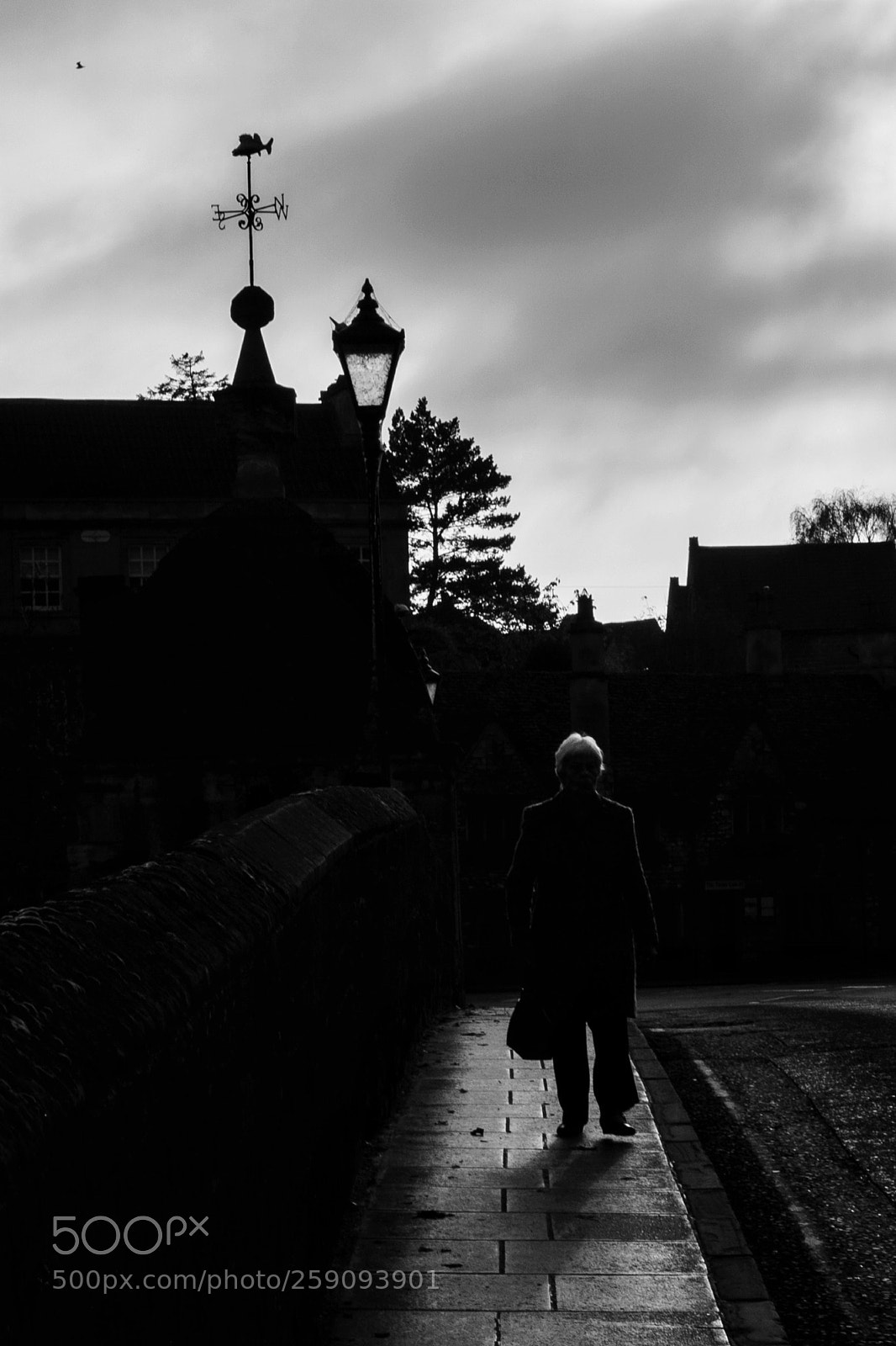 Sony a6000 sample photo. Untitled photography