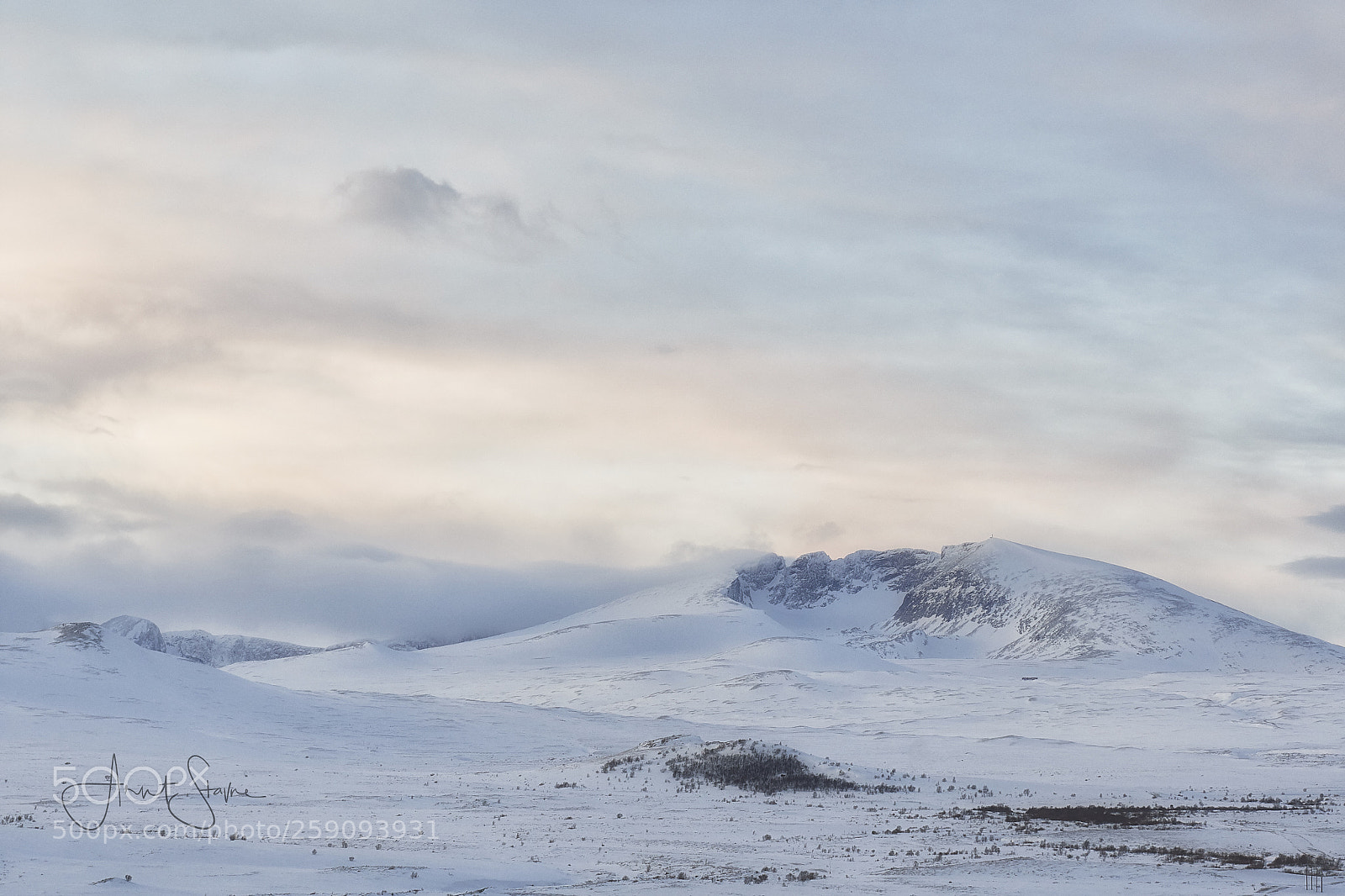 Nikon D500 sample photo. Winter evening photography