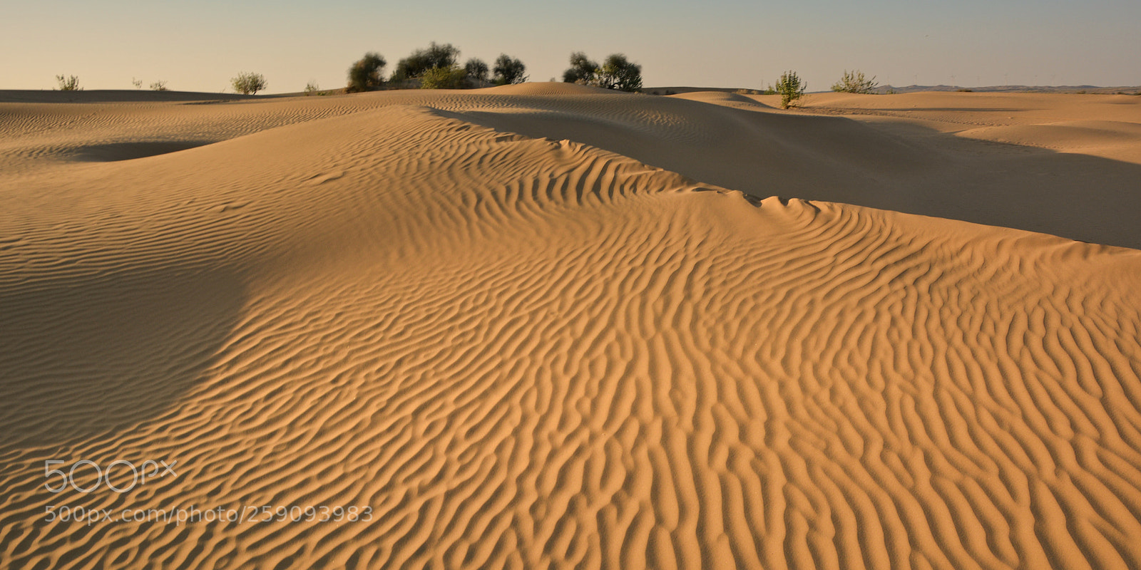 Nikon D5200 sample photo. Rippled photography