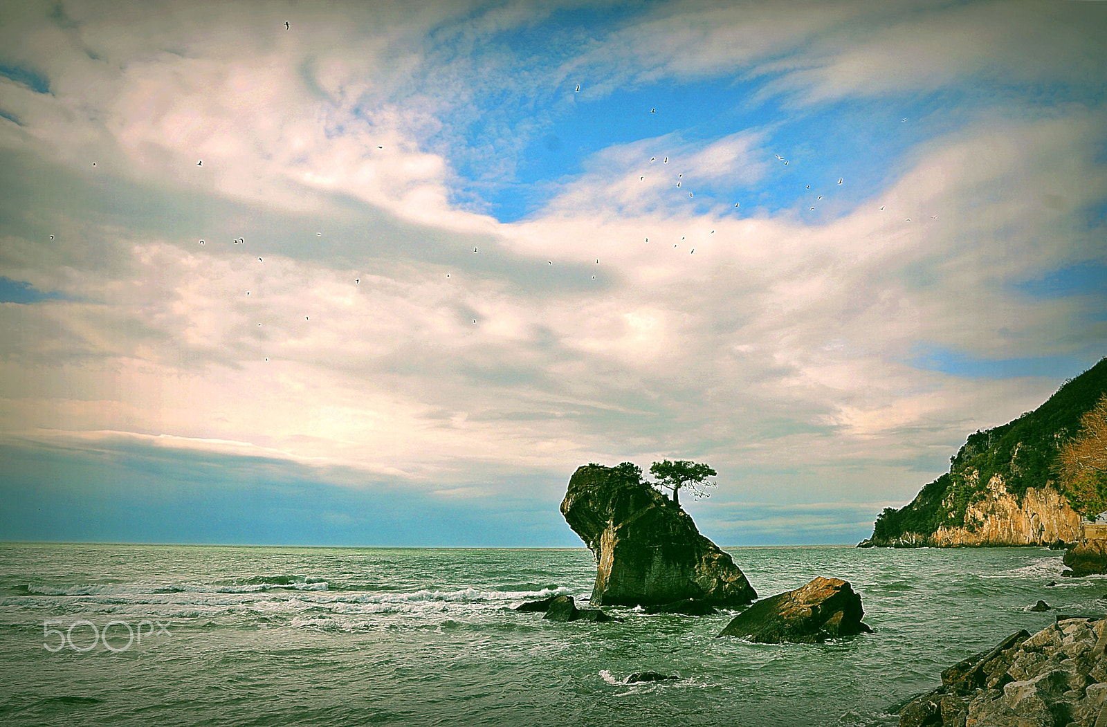 Nikon D5000 sample photo. ** photography