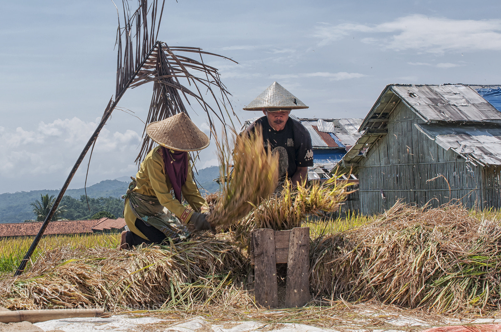 Nikon D300S sample photo. Farmers photography