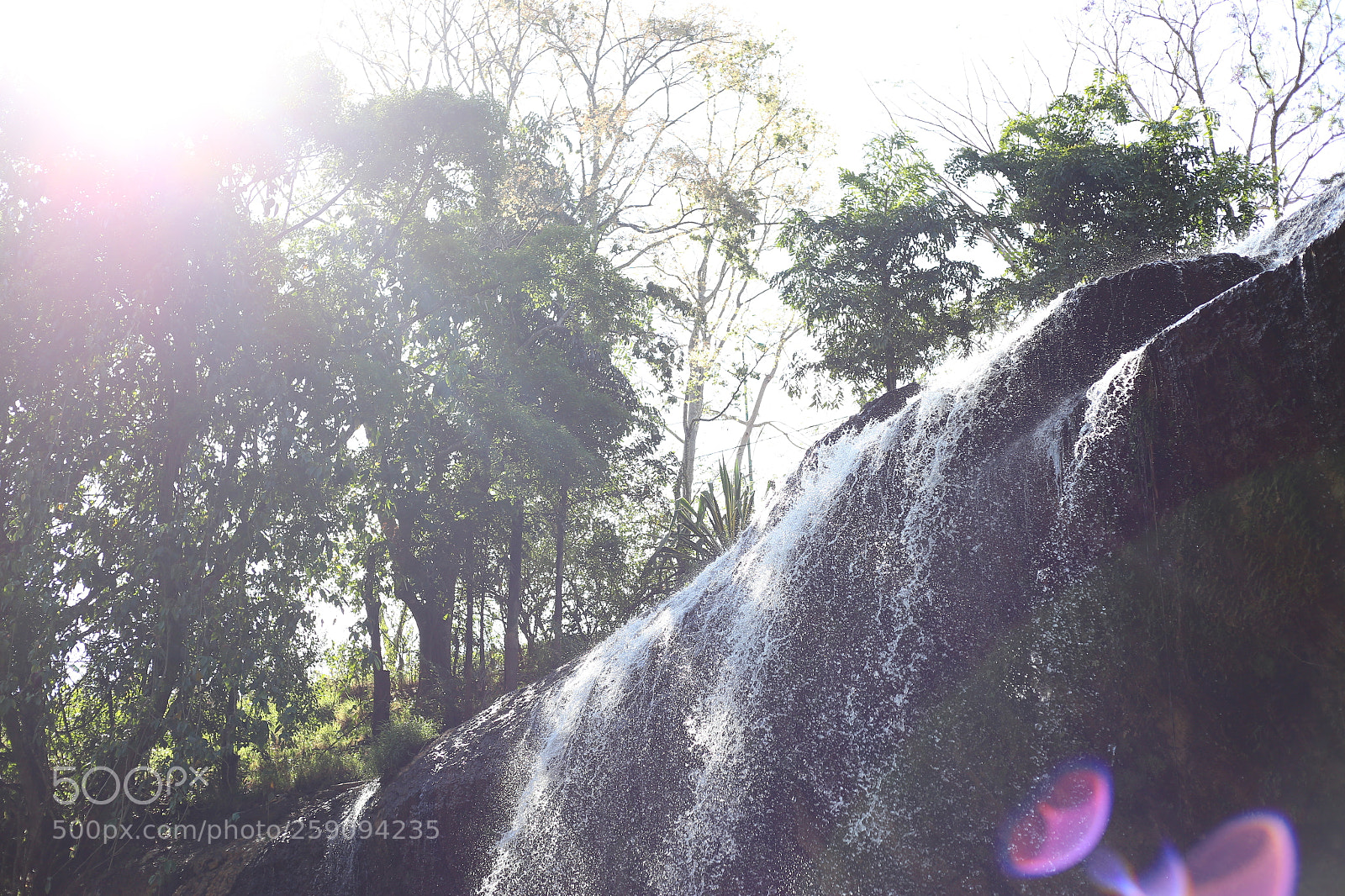 Canon EOS 6D + Canon EF 50mm F1.8 STM sample photo. Living germ in da photography