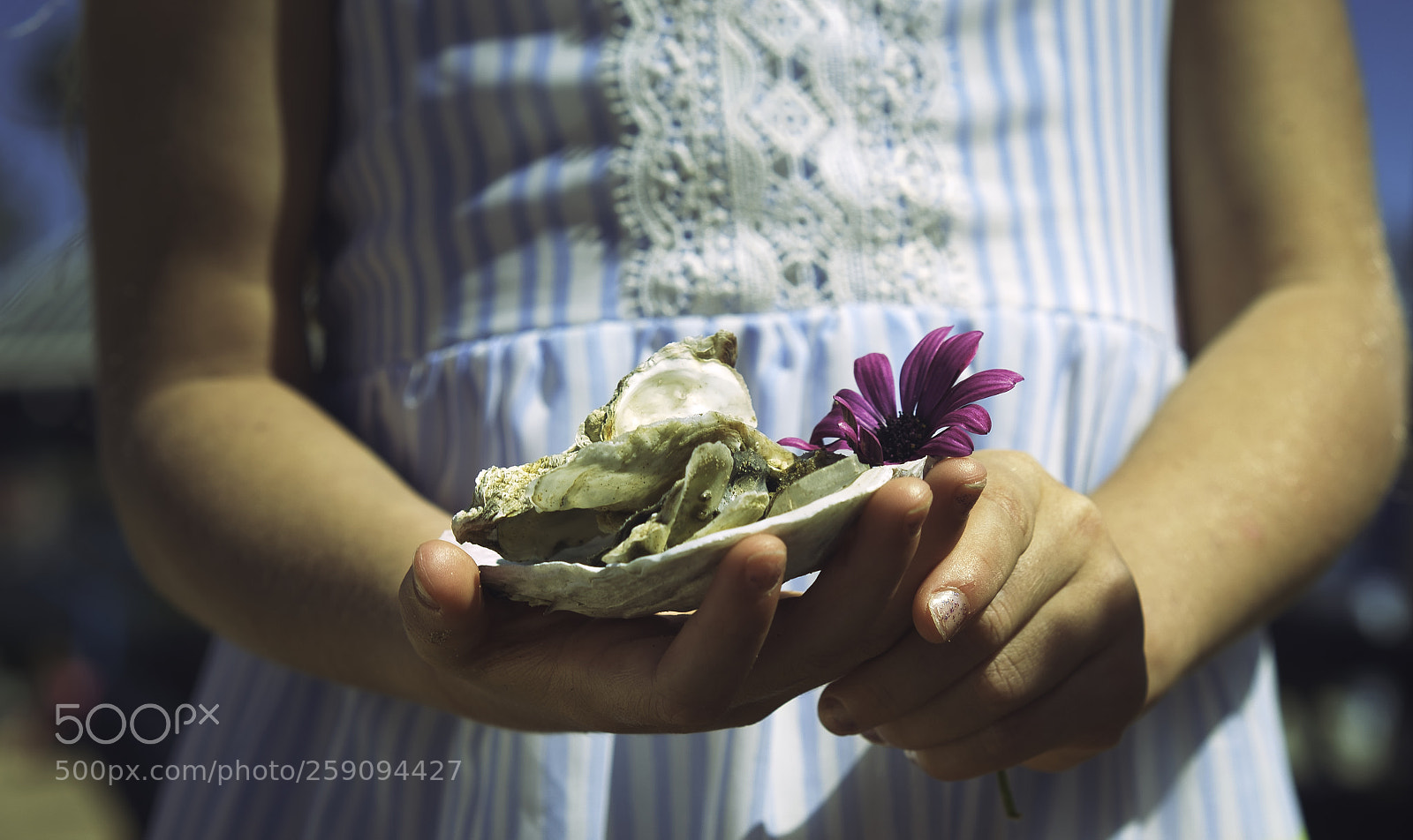 Sony a7R sample photo. Beach treasures photography