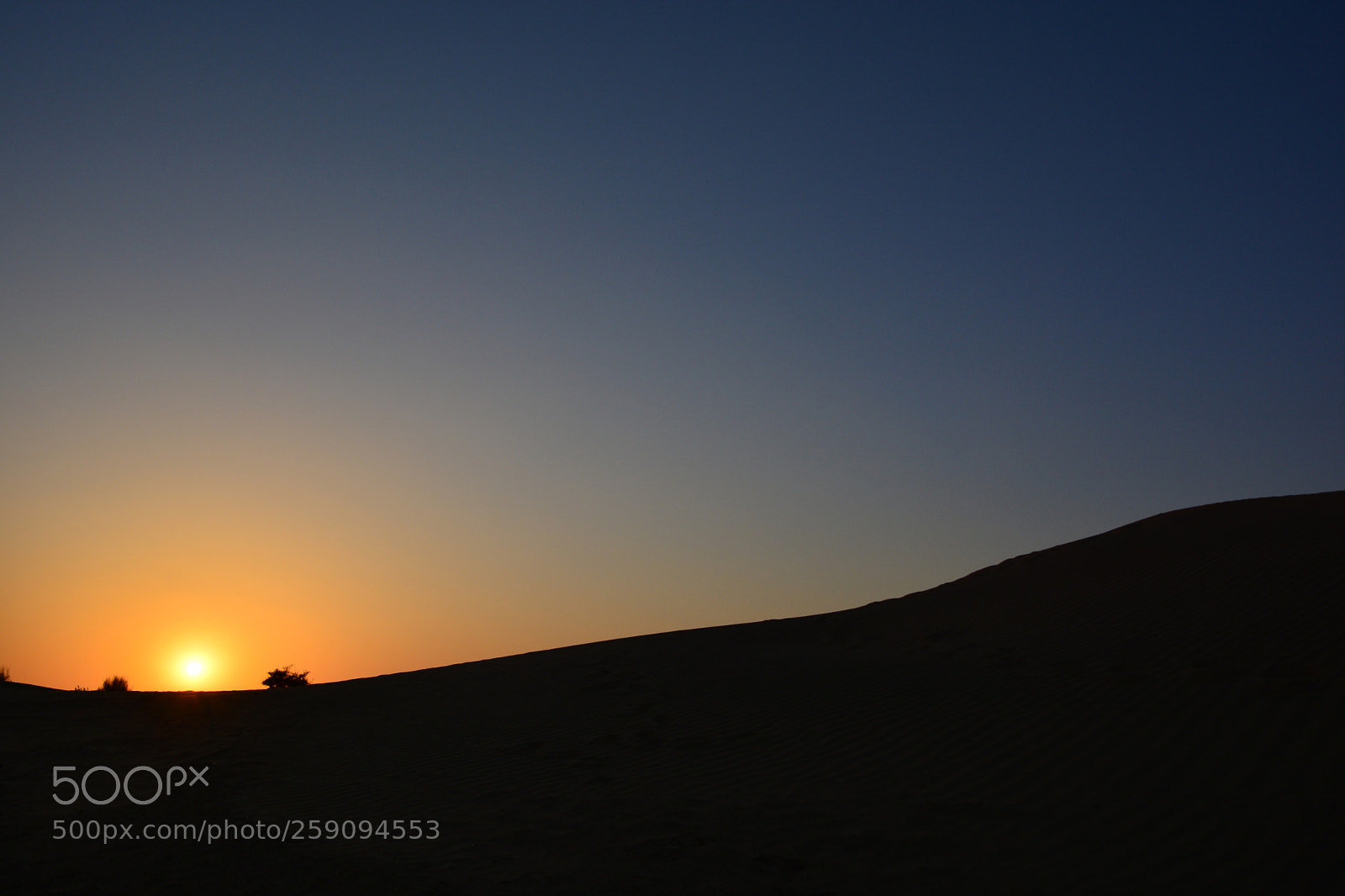 Nikon D5200 sample photo. Desert sun photography