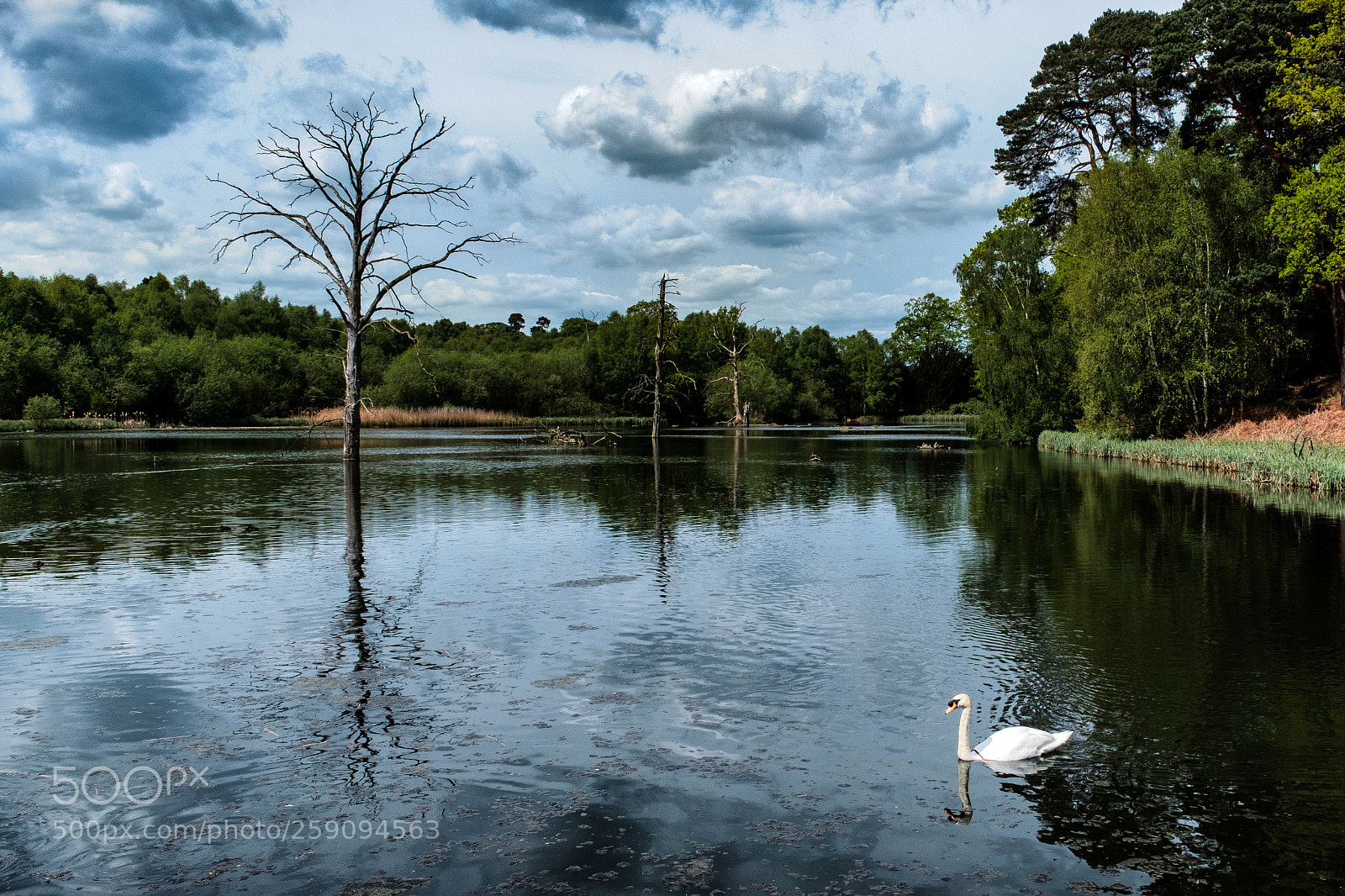 Fujifilm X-T2 sample photo. Clumber park photography