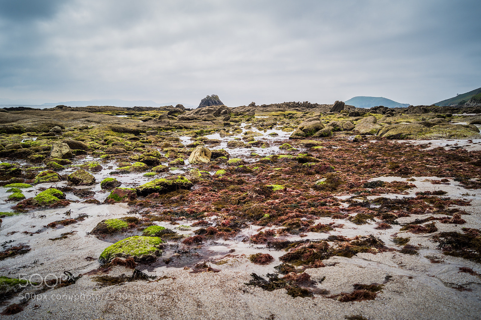 Sony SLT-A58 sample photo. Low tide at ons photography