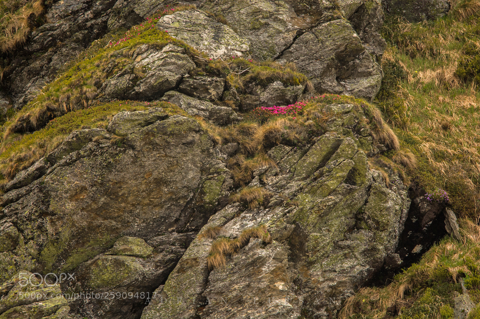 Nikon D7100 sample photo. The mountain beauty photography