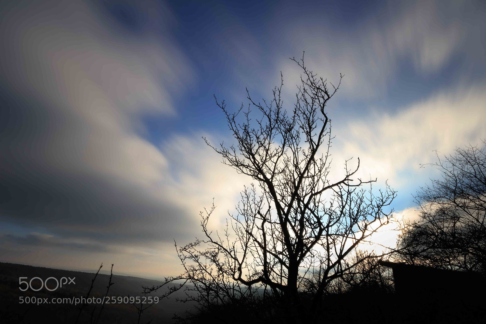 Canon EOS 100D (EOS Rebel SL1 / EOS Kiss X7) sample photo. Timestop tree photography