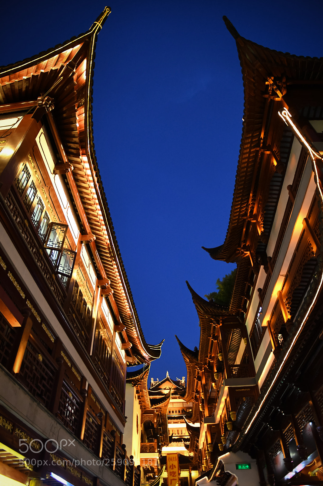 Nikon D500 sample photo. 上海 photography