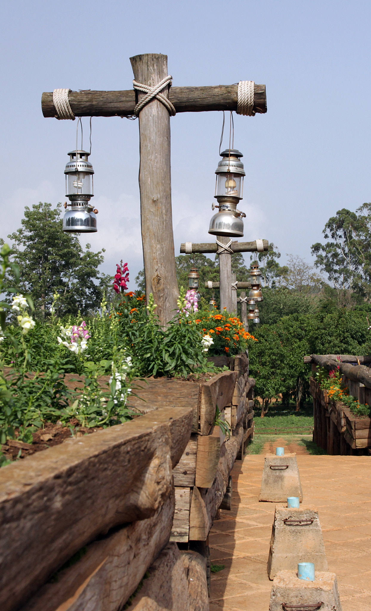 Canon EOS 60D sample photo