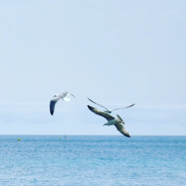 Nikon D7200 sample photo. Untitled photography