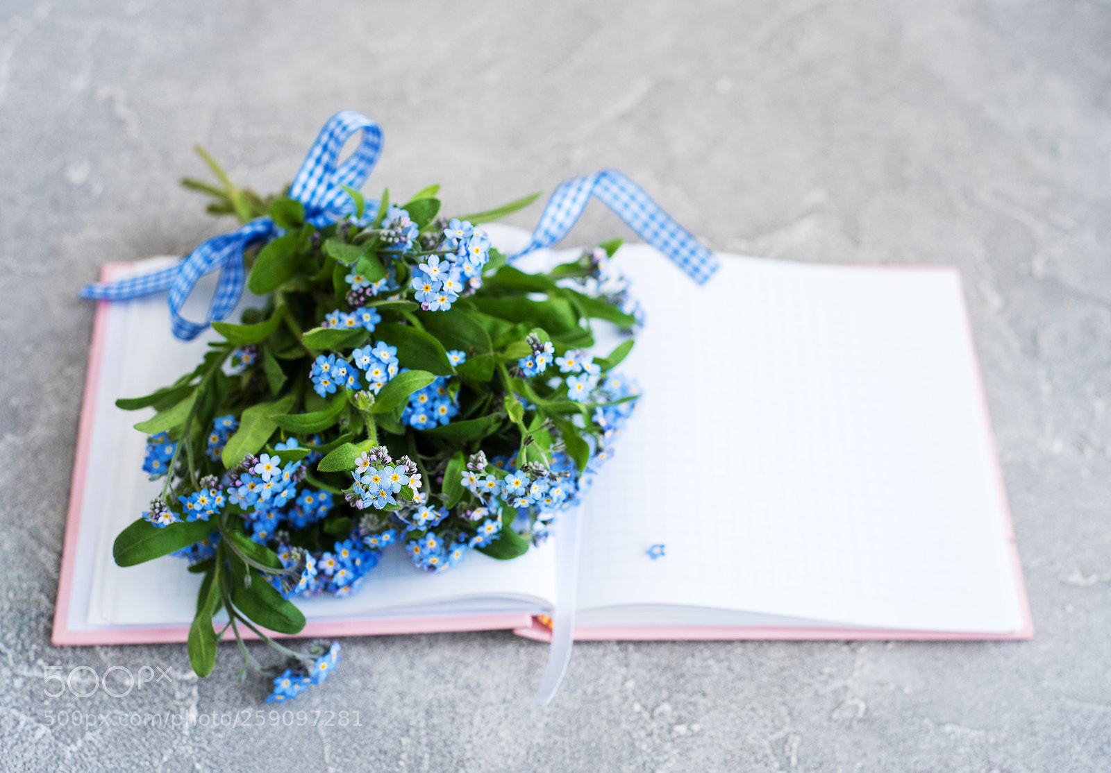 Nikon D750 sample photo. Forget me not flowers photography