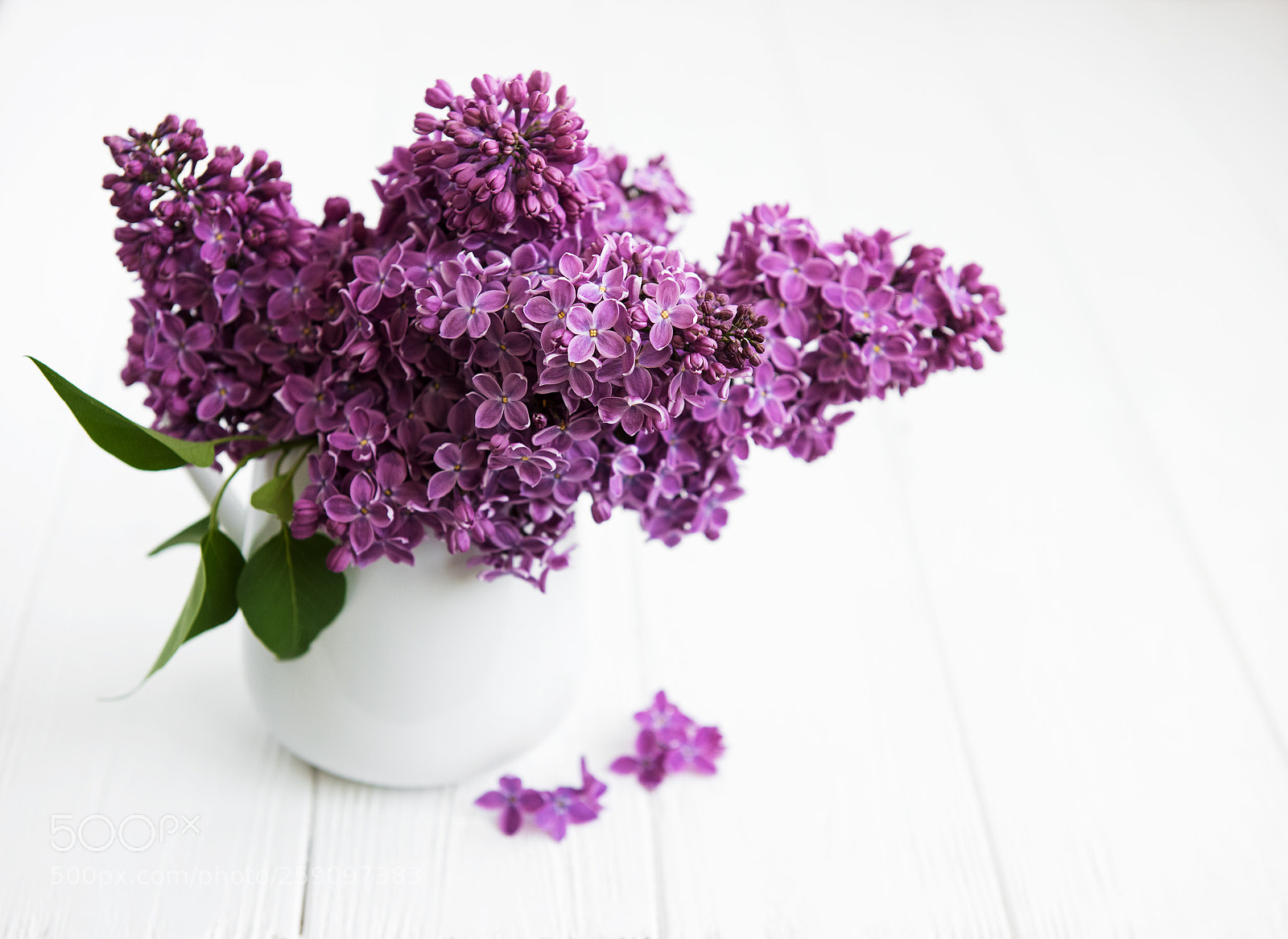 Nikon D750 sample photo. Bouquet of lilac flowers photography