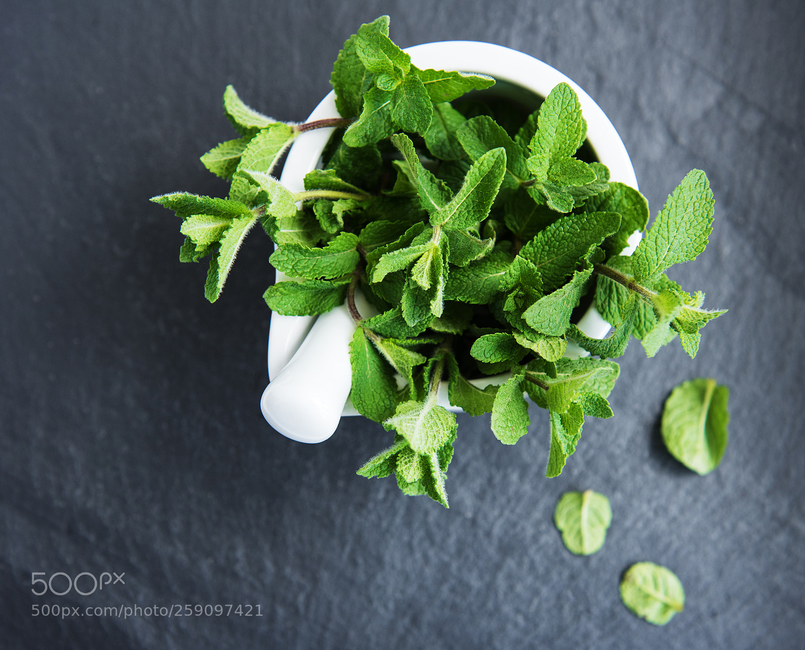 Nikon D750 sample photo. Green mint on a photography