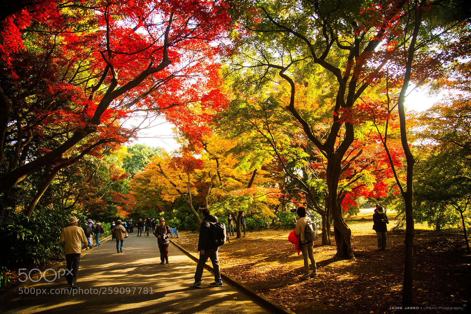 Canon EOS 5D Mark II sample photo. Img photography