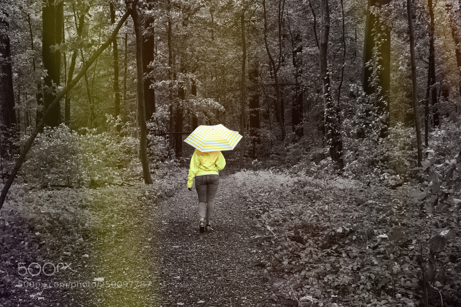 Canon EOS 1200D (EOS Rebel T5 / EOS Kiss X70 / EOS Hi) sample photo. Under my yellow umbrella  photography