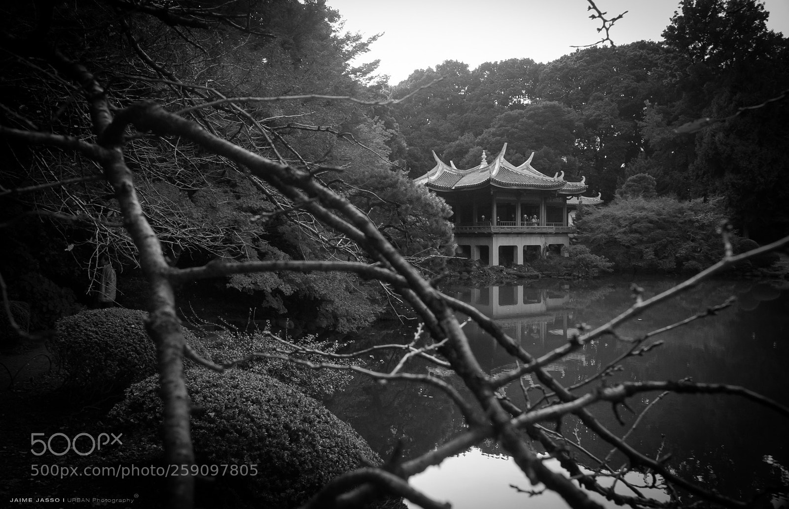 Canon EOS 5D Mark II sample photo. Img photography