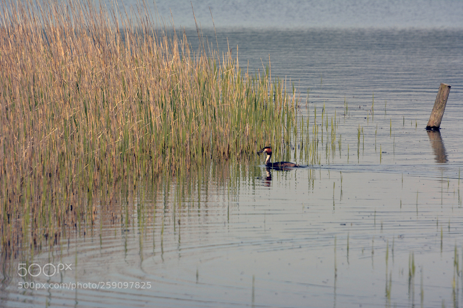 Nikon D7100 sample photo. Kenfig pool photography