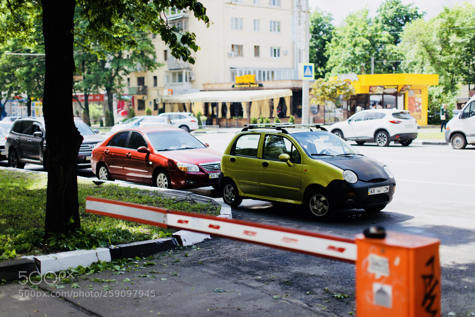 Canon EOS 5DS sample photo. Small rule breaker photography