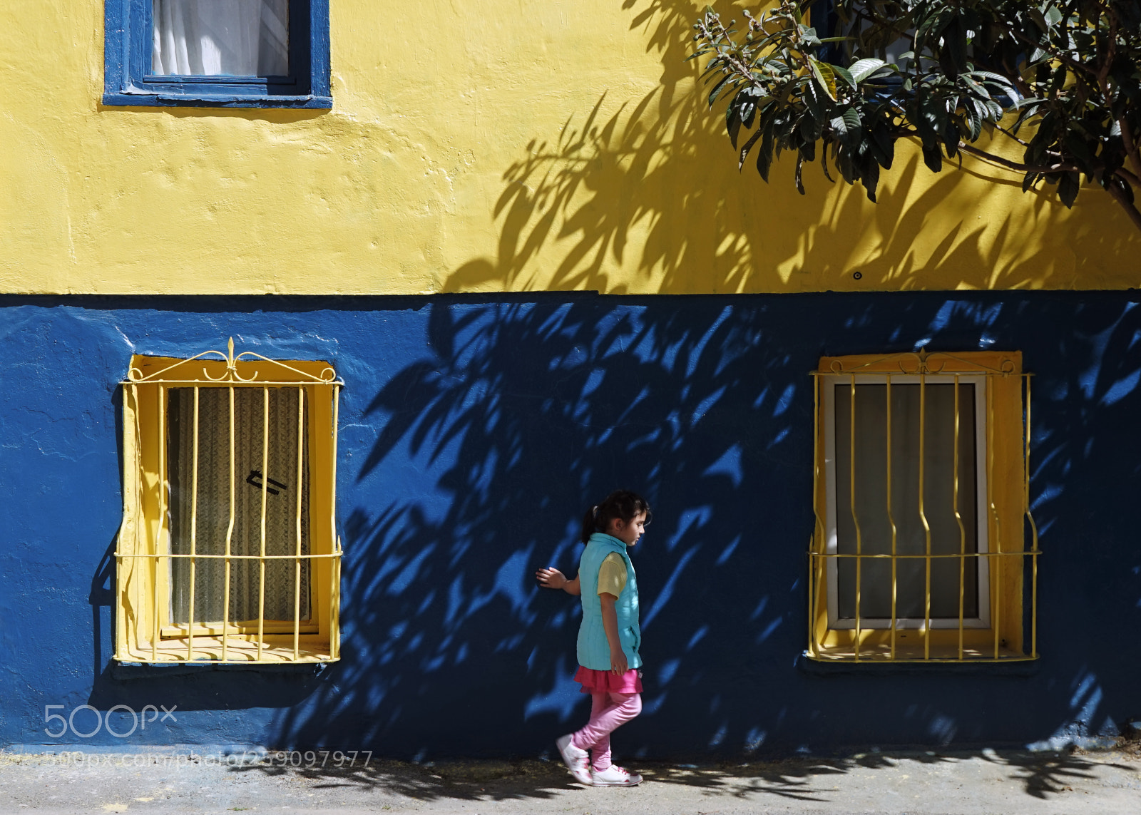 Sony a7 sample photo. Yaşam photography