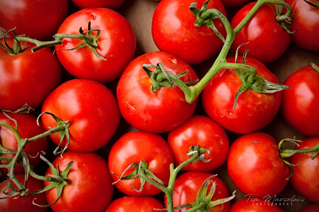 Nikon D7100 sample photo. Tomatoes on the vine photography