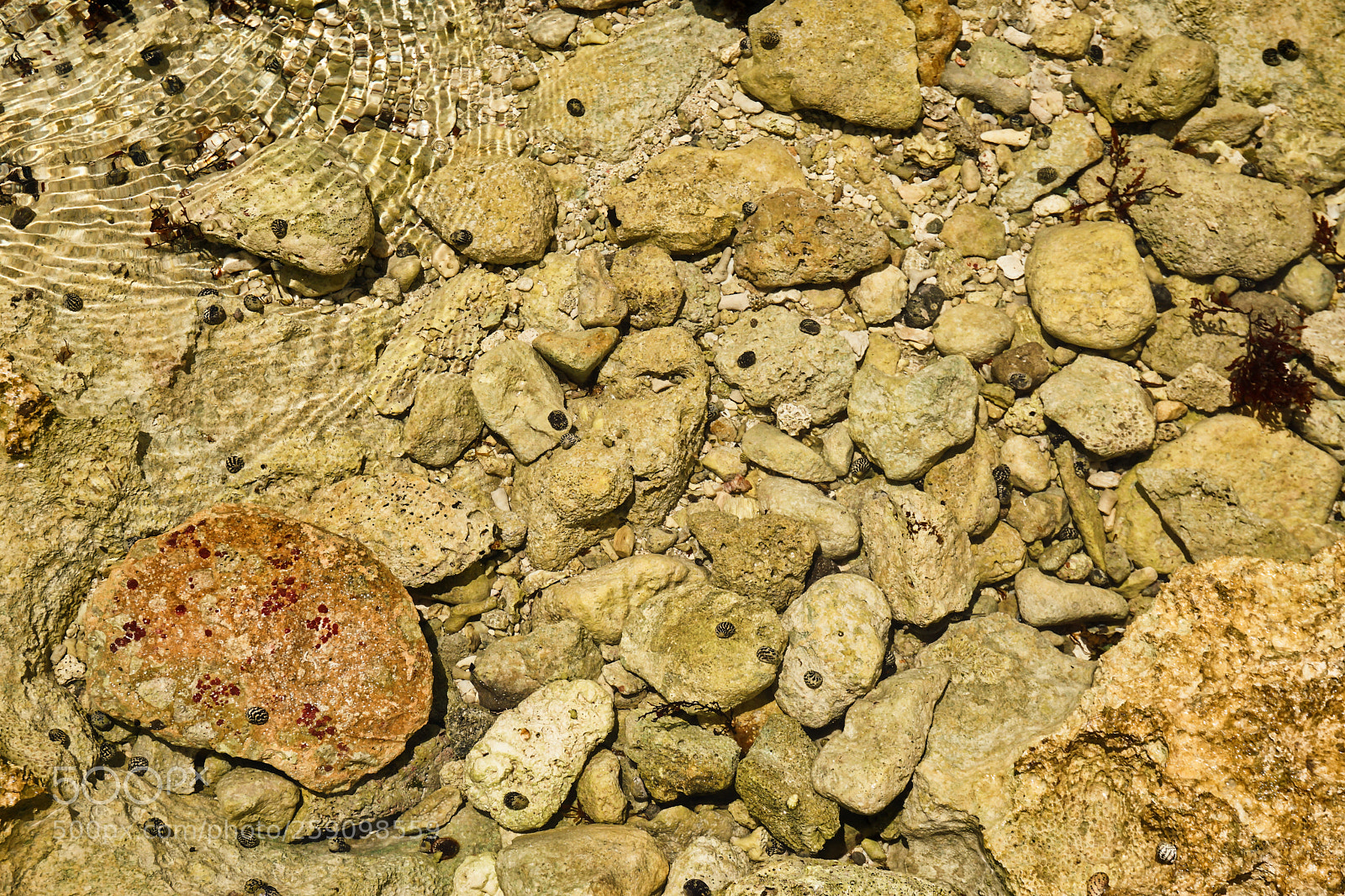 Sony a5100 sample photo. Rocks underwater photography