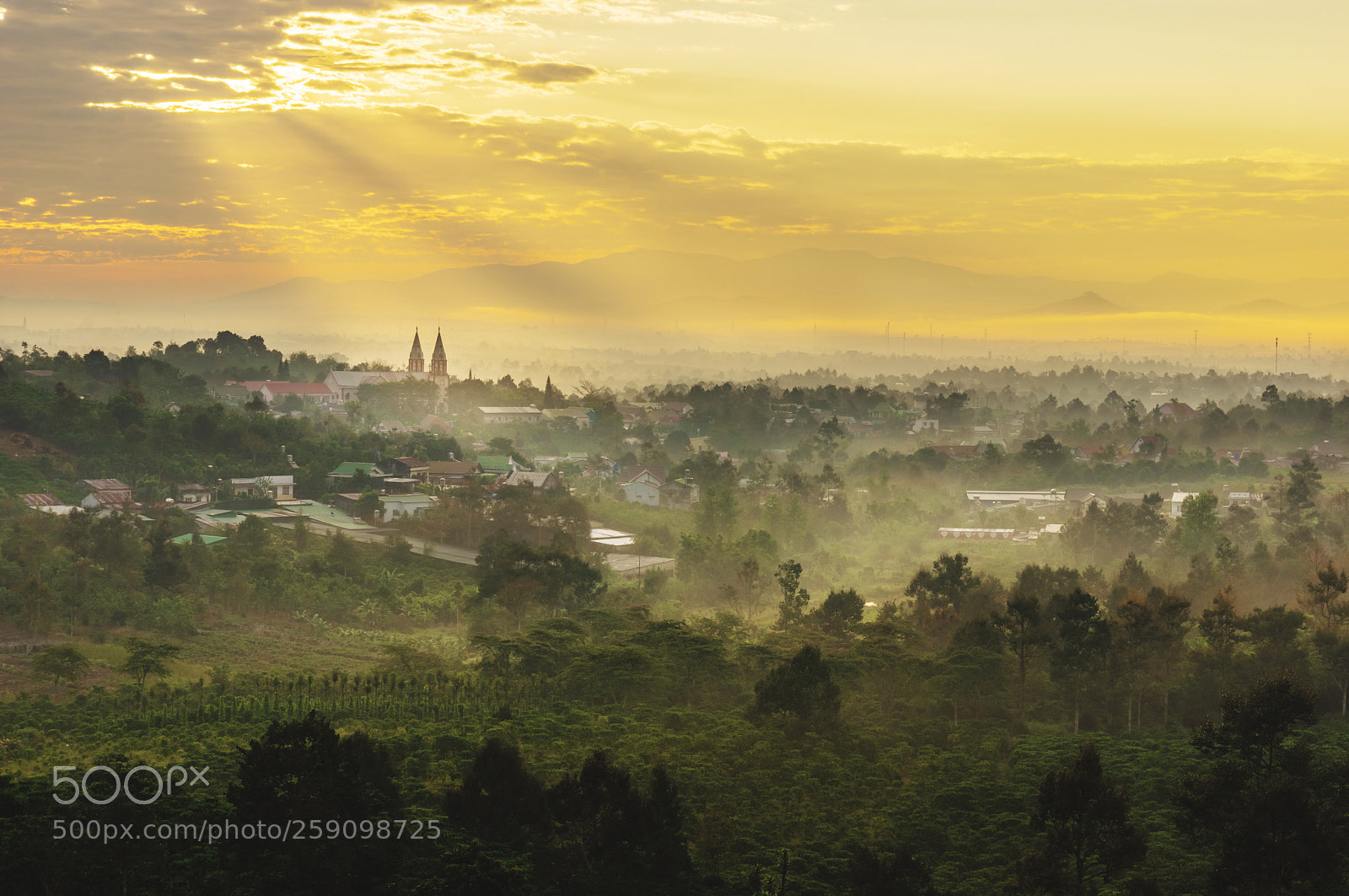 Pentax K-3 sample photo. Golden morning photography