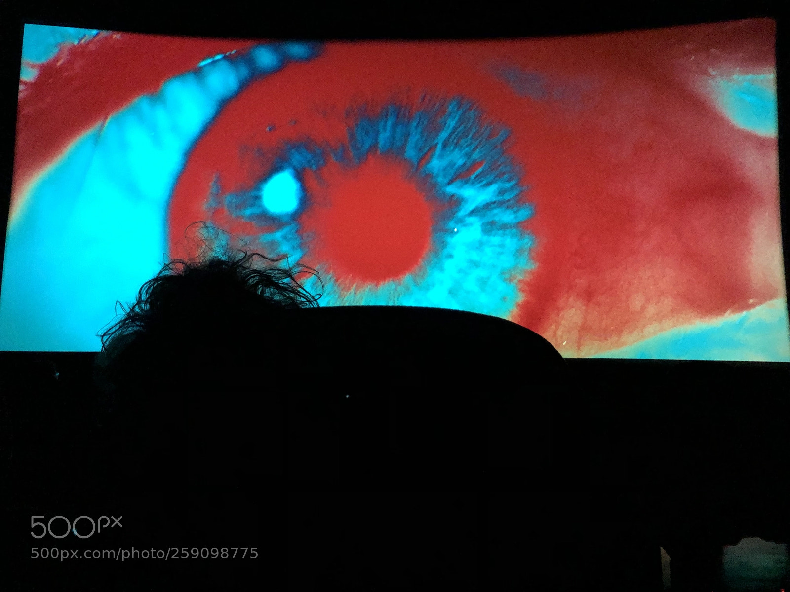 Apple iPhone X sample photo. Kubrick’s eye photography
