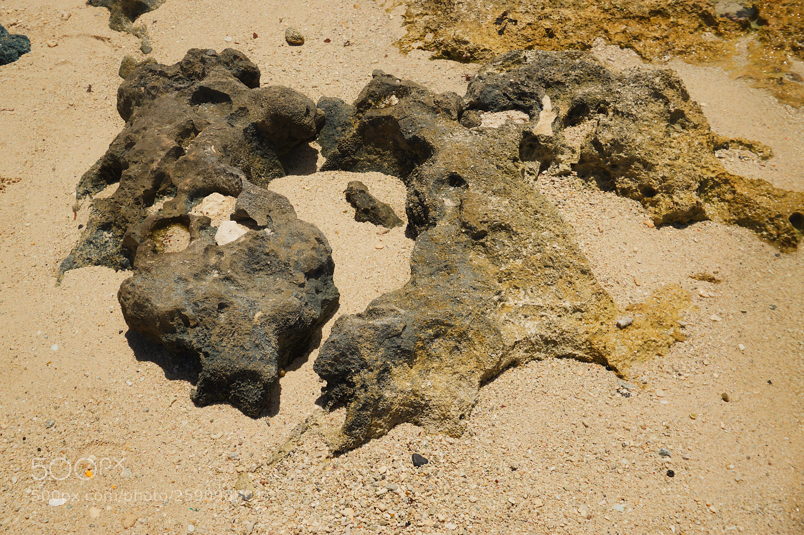 Sony a5100 sample photo. Rocks on the shore photography