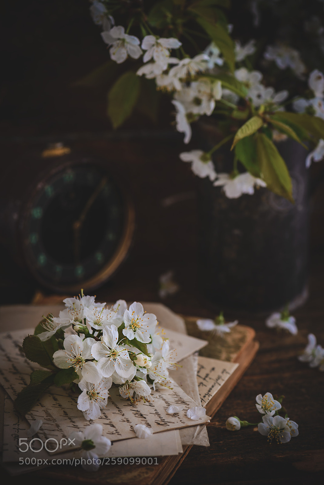 Nikon D610 sample photo. As time goes by. photography