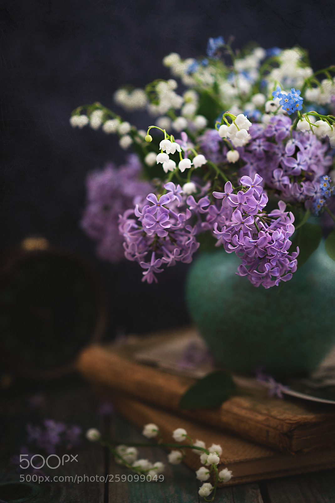 Nikon D610 sample photo. Forget me not. photography