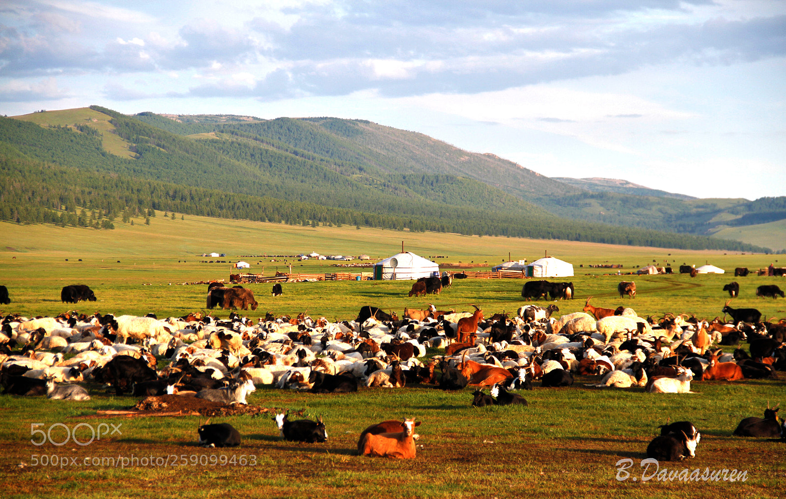 Canon EOS 7D sample photo. Beautifull mongolia photography