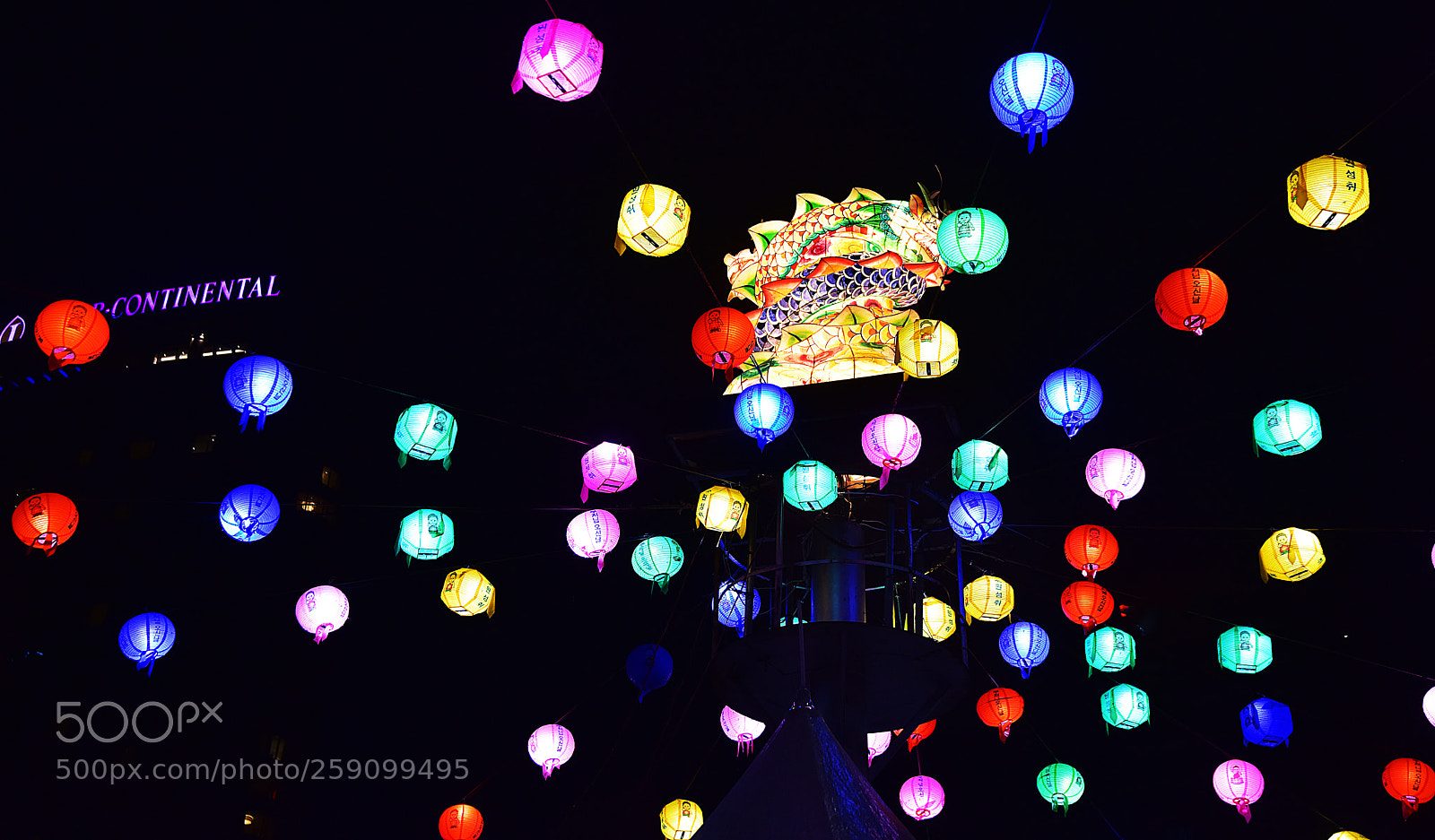 Nikon D810 sample photo. Untitled photography