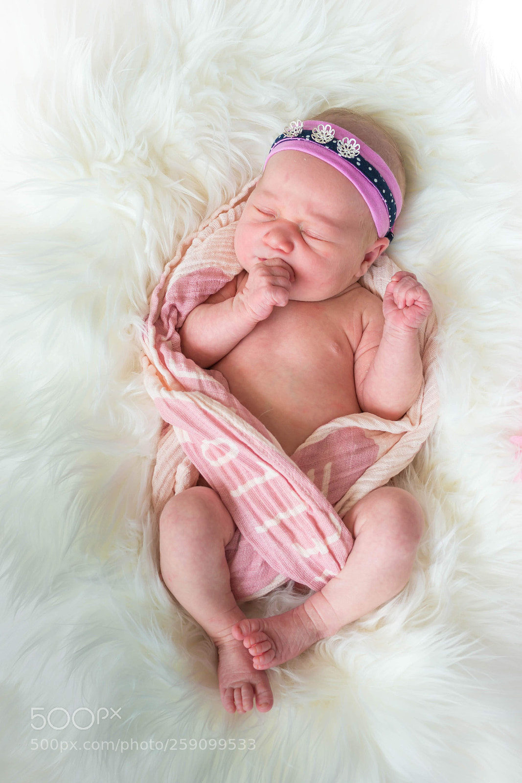 Nikon D800E sample photo. Untitled photography