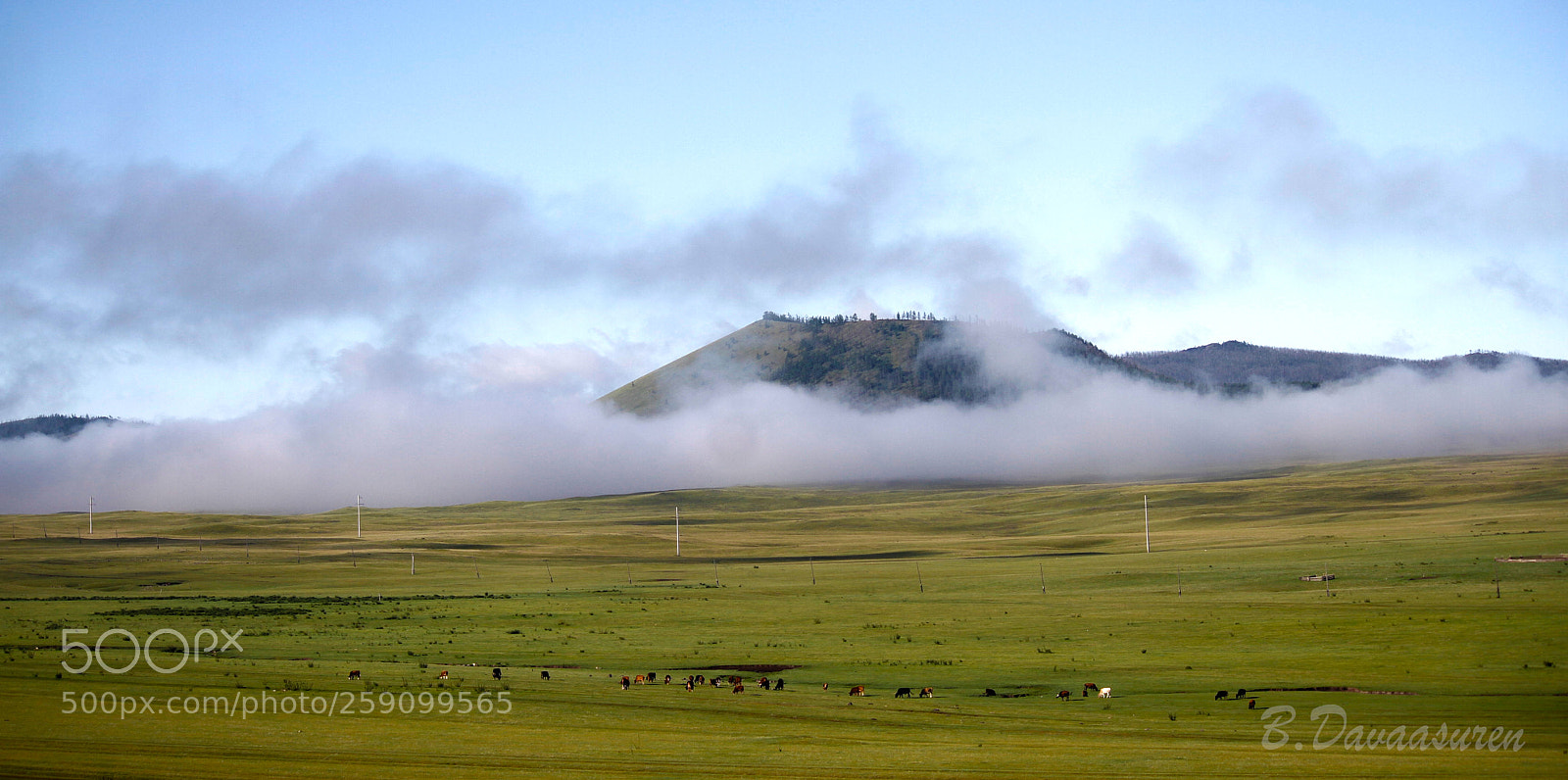 Canon EOS 7D sample photo. Beautifull mongolia photography