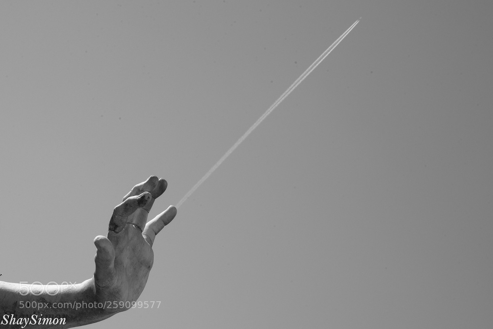 Nikon D750 sample photo. Untitled photography