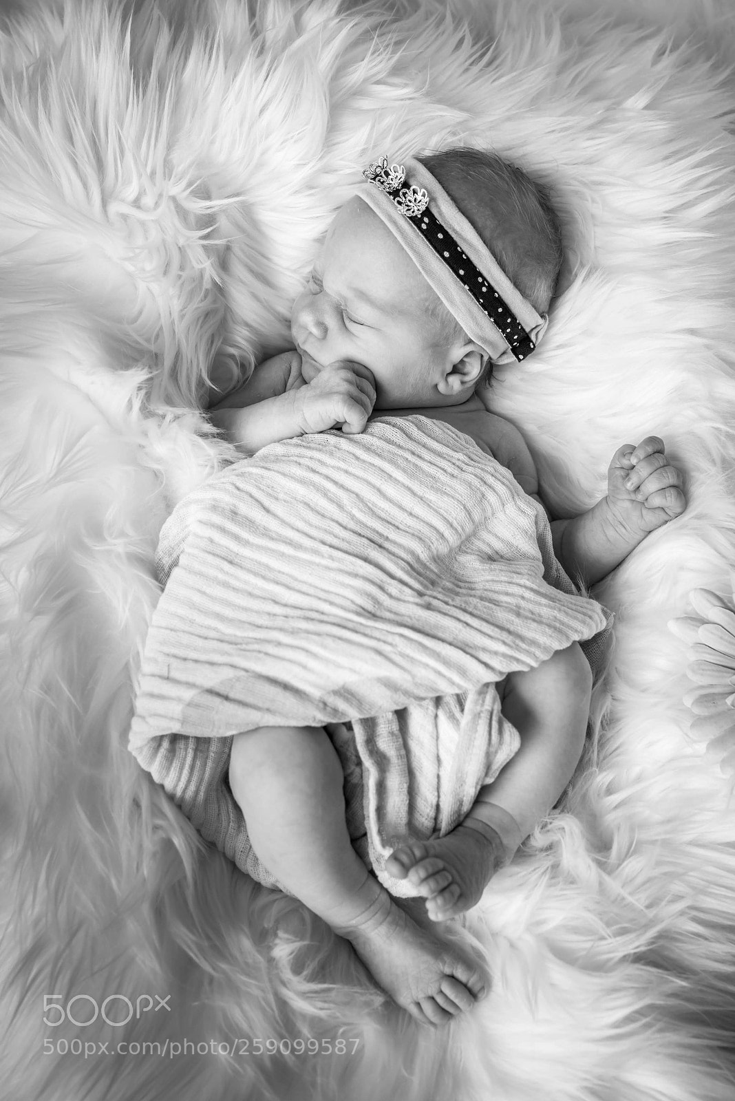 Nikon D800E sample photo. Untitled photography