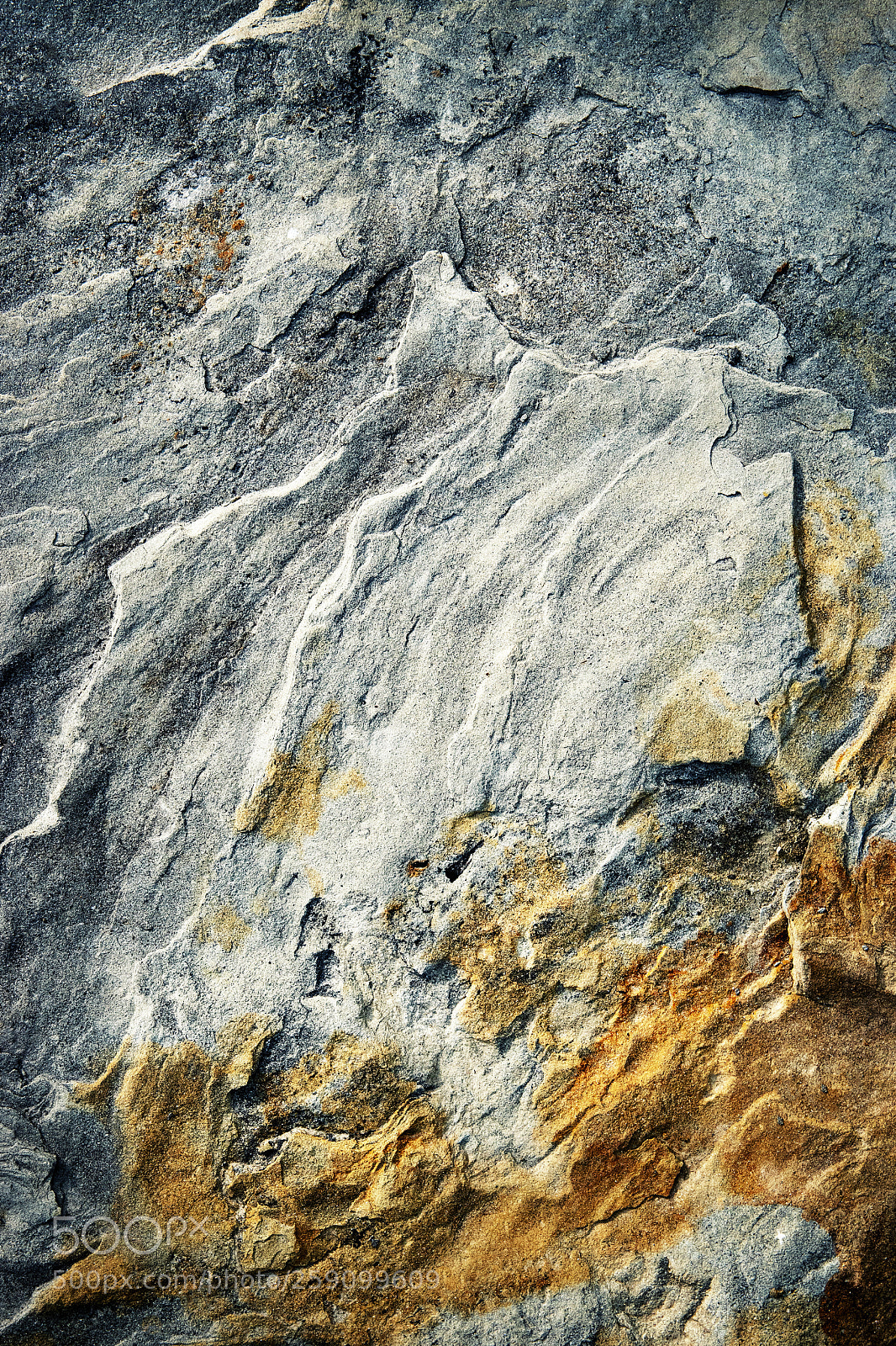Nikon D5500 sample photo. Detail of a fissured photography