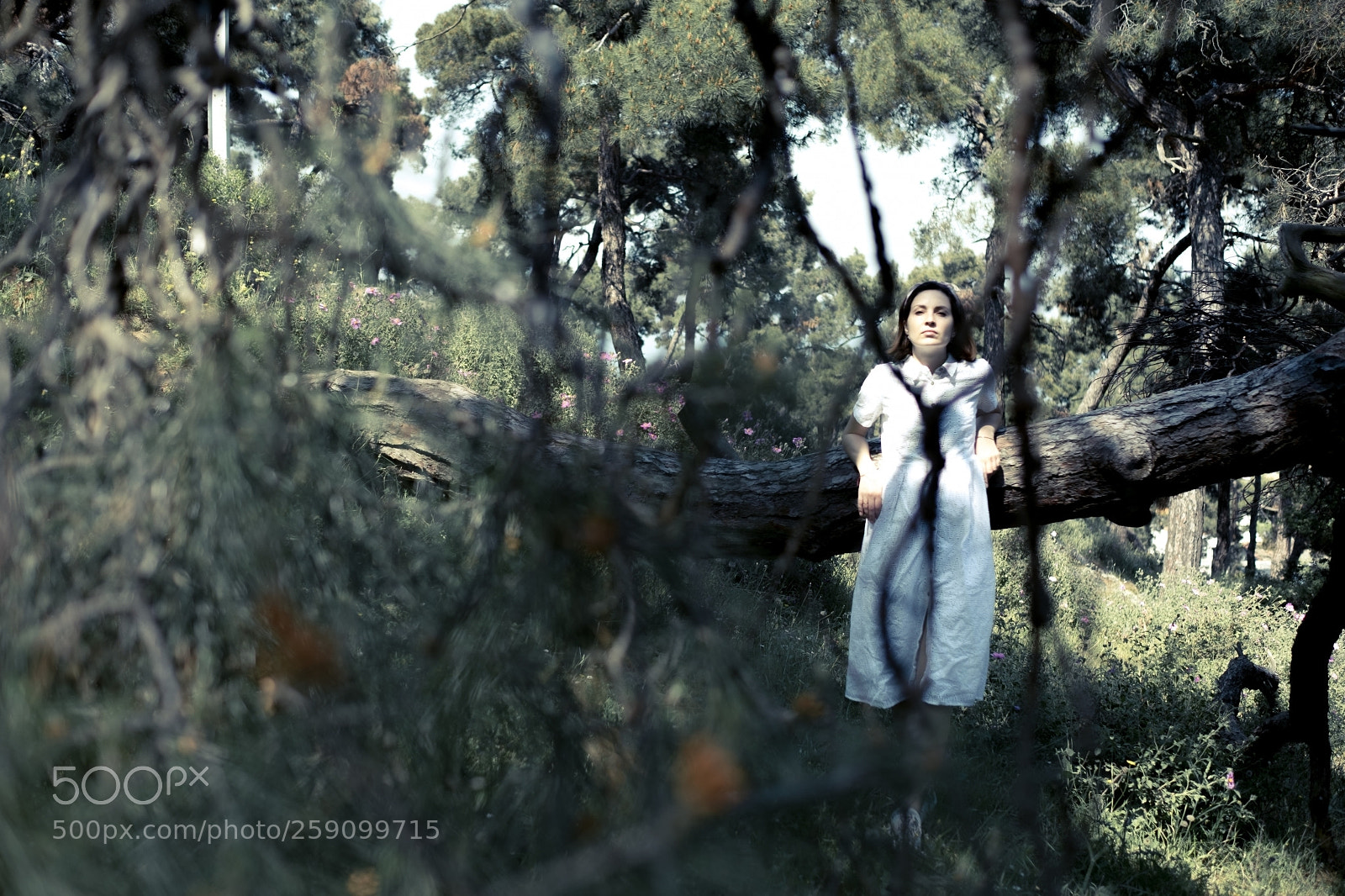 Fujifilm X-T20 sample photo. Prince islands photography