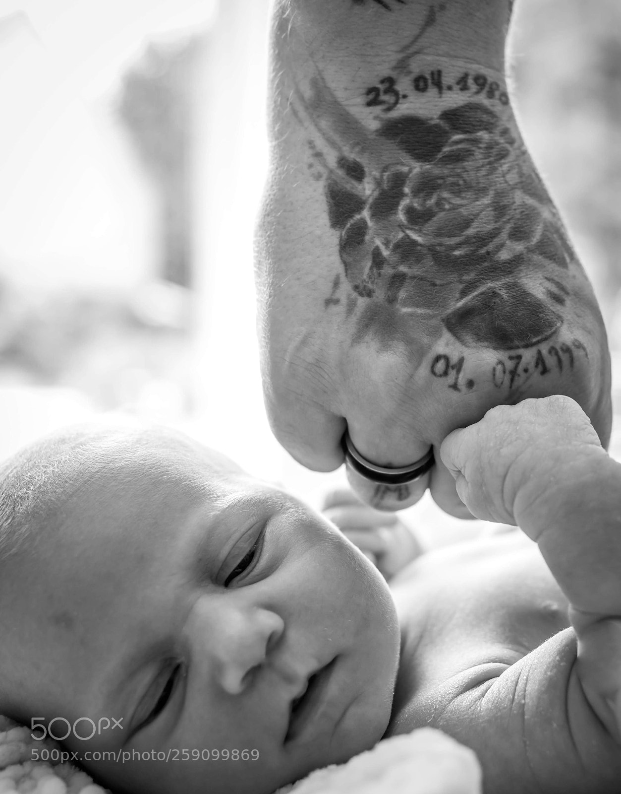Nikon D800E sample photo. Untitled photography