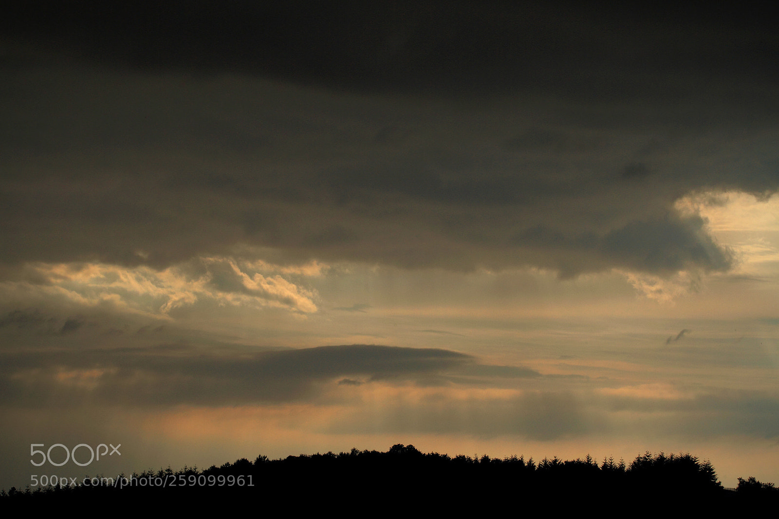 Canon EOS 7D sample photo. Nuances de grey photography