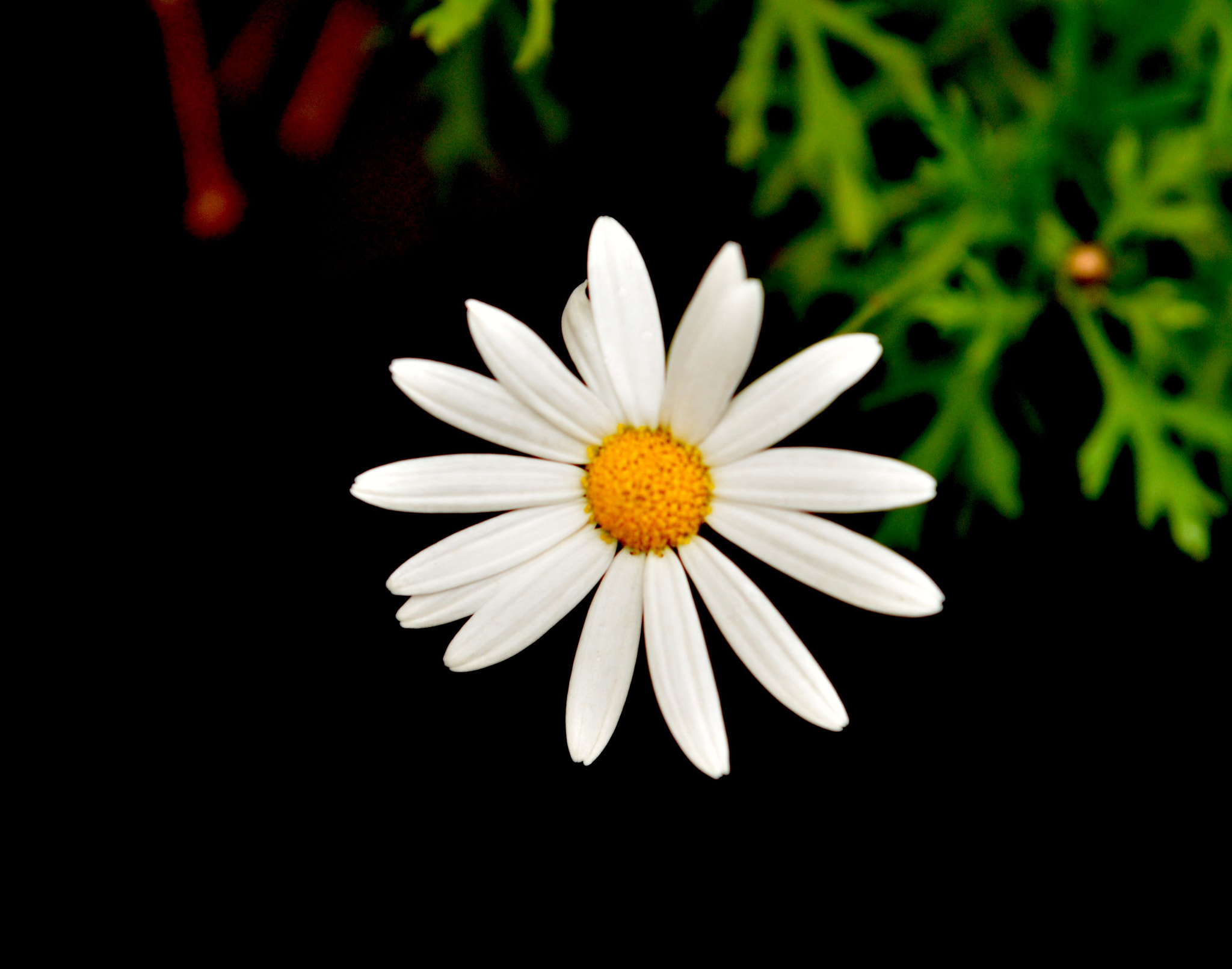 Nikon AF-S Nikkor 24-70mm F2.8G ED sample photo. 在云南拍的 photography
